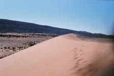 Alouane SAID - Alouane Said Ruspoli